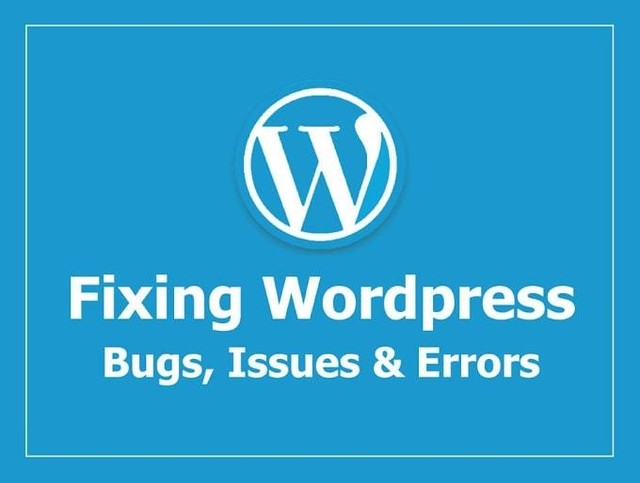 Expert WordPress Website Error Fix Services